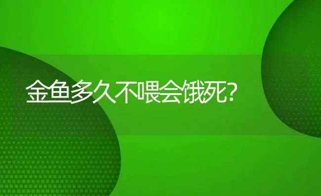 金鱼多久不喂会饿死？ | 鱼类宠物饲养