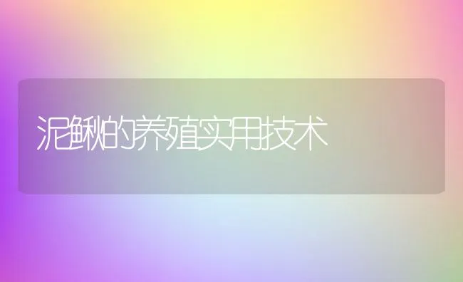 泥鳅的养殖实用技术 | 动物养殖学堂