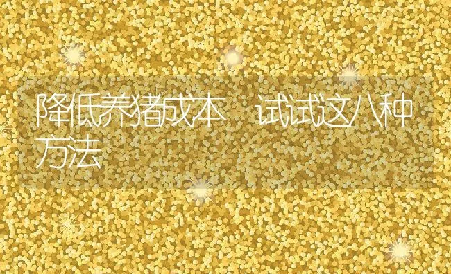 降低养猪成本 试试这八种方法 | 动物养殖饲料