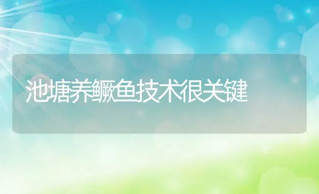 池塘养鳜鱼技术很关键 | 动物养殖饲料