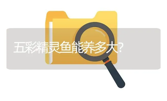 金刚鹦鹉哪有卖的？多少钱？ | 动物养殖问答