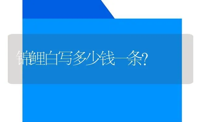 锦鲤白写多少钱一条？ | 鱼类宠物饲养