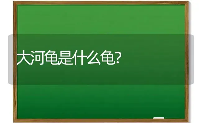 大河龟是什么龟？ | 动物养殖问答