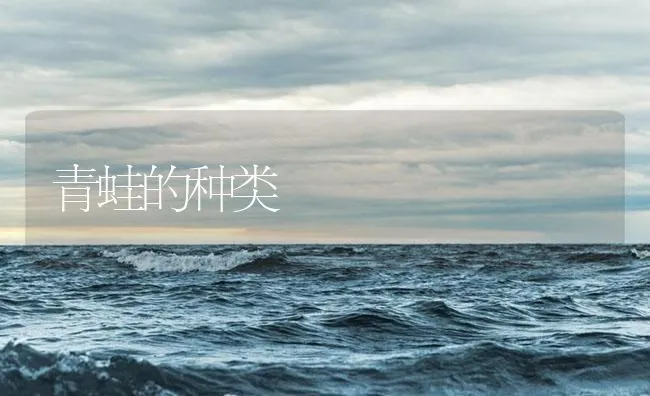 青蛙的种类 | 海水养殖技术