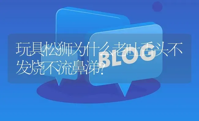 玩具松狮为什么老吐舌头不发烧不流鼻涕？ | 动物养殖问答