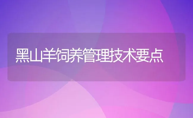 黑山羊饲养管理技术要点 | 动物养殖饲料