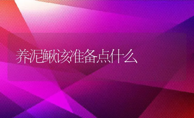 养泥鳅该准备点什么 | 动物养殖饲料