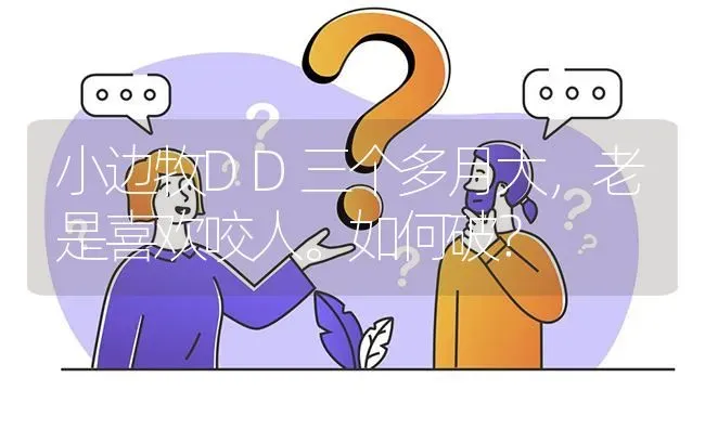 小边牧DD三个多月大，老是喜欢咬人。如何破？ | 动物养殖问答