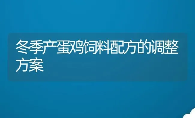 冬季产蛋鸡饲料配方的调整方案 | 动物养殖百科