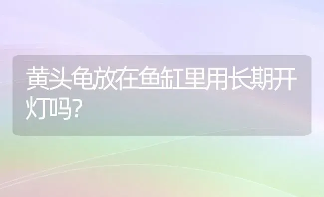 黄头龟放在鱼缸里用长期开灯吗？ | 动物养殖问答