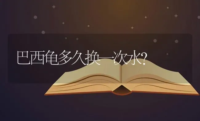 巴西龟多久换一次水？ | 动物养殖问答