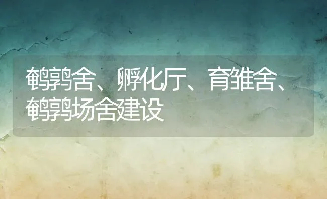 鹌鹑舍、孵化厅、育雏舍、鹌鹑场舍建设 | 水产养殖知识