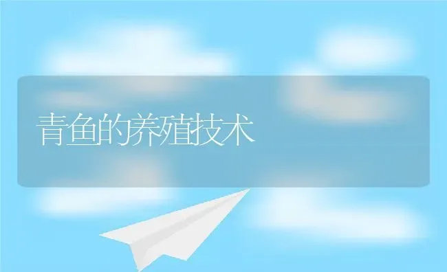 青鱼的养殖技术 | 动物养殖教程