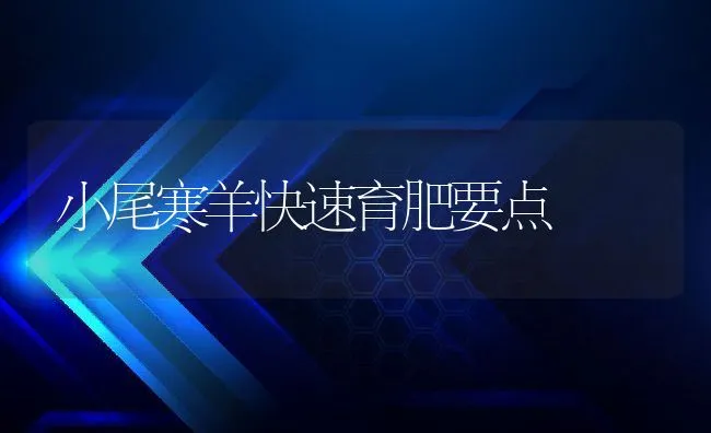 黄鳝小池密养关键技术 | 海水养殖技术