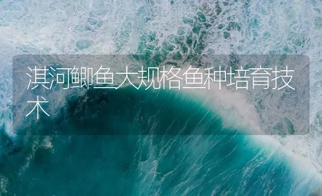 淇河鲫鱼大规格鱼种培育技术 | 海水养殖技术