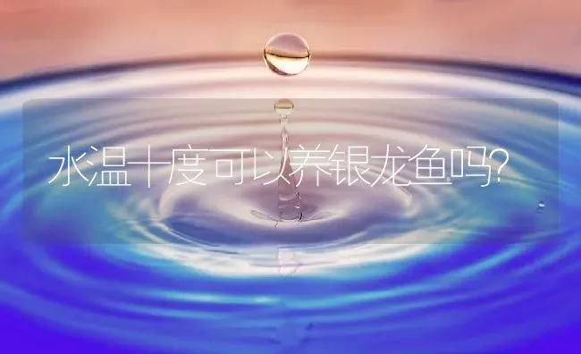 水温十度可以养银龙鱼吗？ | 鱼类宠物饲养