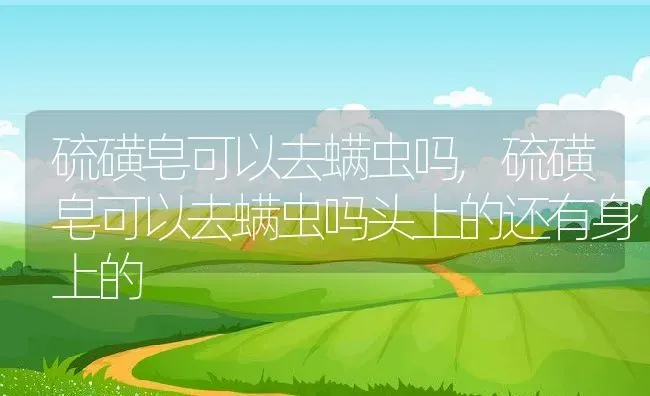 硫磺皂可以去螨虫吗,硫磺皂可以去螨虫吗头上的还有身上的 | 宠物百科知识