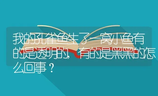 我的孔雀鱼生了一窝小鱼有的是透明的,有的是黑黑的怎么回事？ | 鱼类宠物饲养