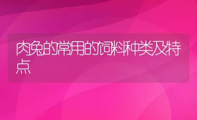 肉兔的常用的饲料种类及特点 | 动物养殖教程