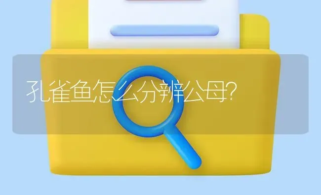 孔雀鱼怎么分辨公母？ | 鱼类宠物饲养