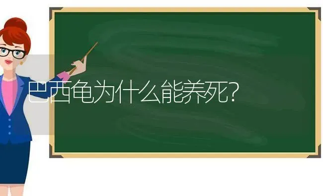 巴西龟为什么能养死？ | 动物养殖问答