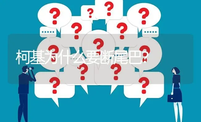 柯基为什么要断尾巴？ | 动物养殖问答