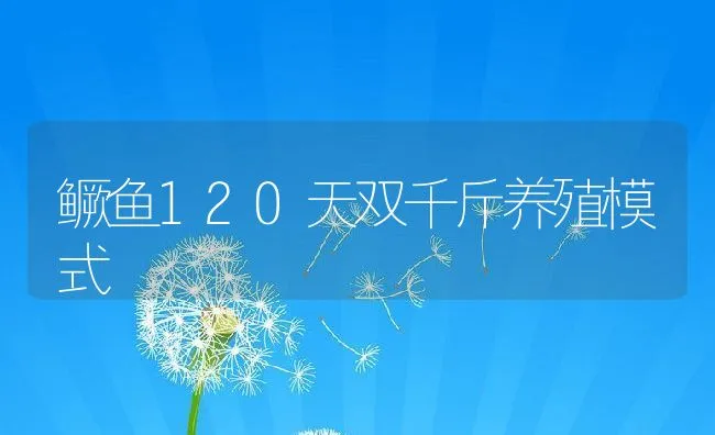 鳜鱼120天双千斤养殖模式 | 动物养殖饲料