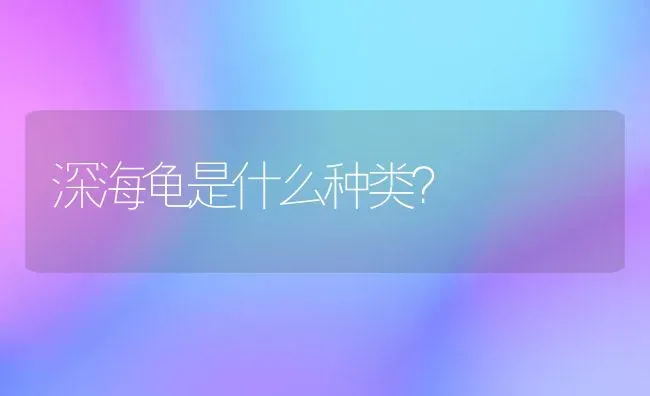 非洲迷你小刺猬，怎么看纯不纯？ | 动物养殖问答