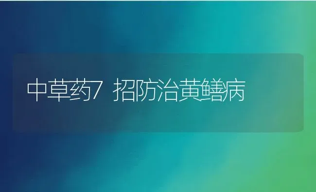 中草药7招防治黄鳝病 | 动物养殖百科