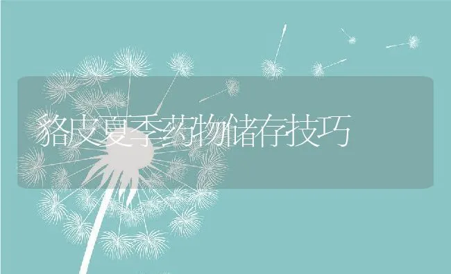 泥鳅高效养殖技术 | 动物养殖学堂