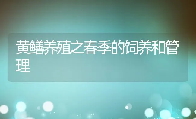 黄鳝养殖之春季的饲养和管理 | 动物养殖饲料