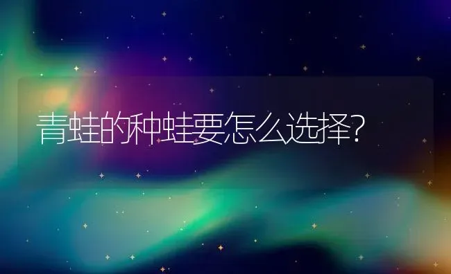 青蛙的种蛙要怎么选择？ | 动物养殖百科