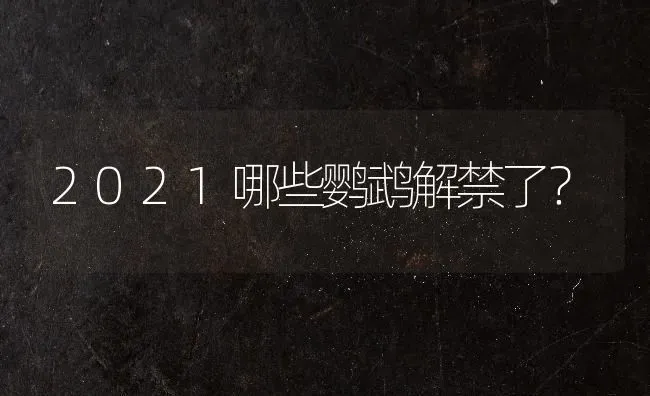 2021哪些鹦鹉解禁了？ | 动物养殖问答