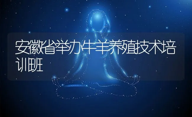 安徽省举办牛羊养殖技术培训班 | 动物养殖饲料