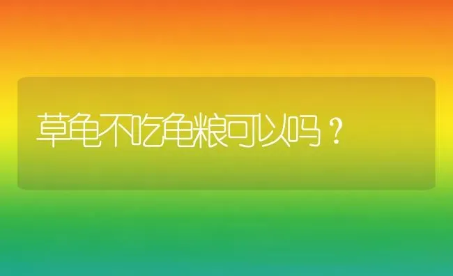 如何判断猫咪是否发烧？ | 动物养殖问答