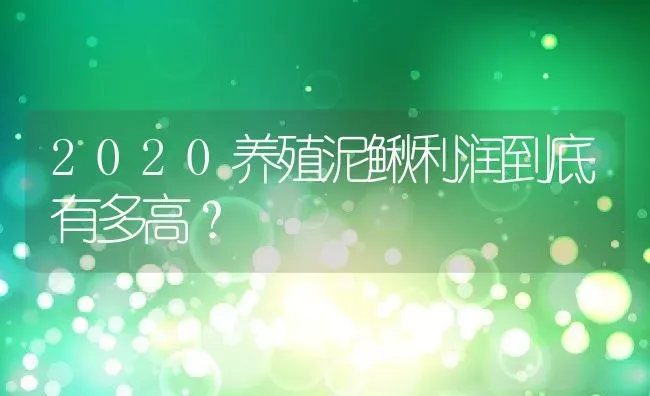 2020养殖泥鳅利润到底有多高？ | 动物养殖百科