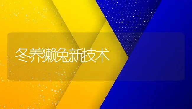 使鸡产蛋率平稳的措施 | 动物养殖学堂