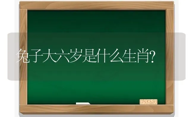 黑凯鹦鹉介绍？ | 动物养殖问答