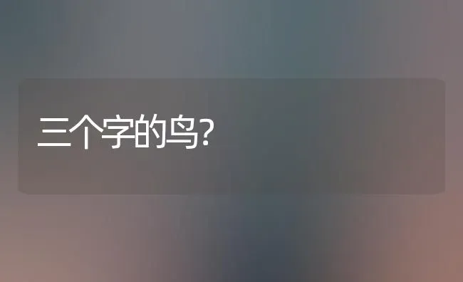 三个字的鸟？ | 动物养殖问答