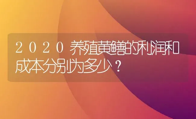 2020养殖黄鳝的利润和成本分别为多少？ | 动物养殖百科