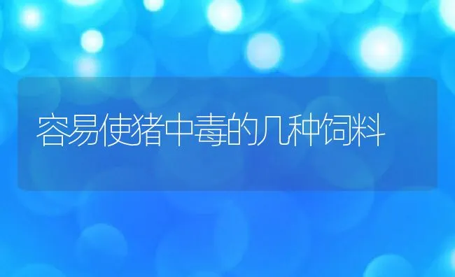 容易使猪中毒的几种饲料 | 动物养殖饲料