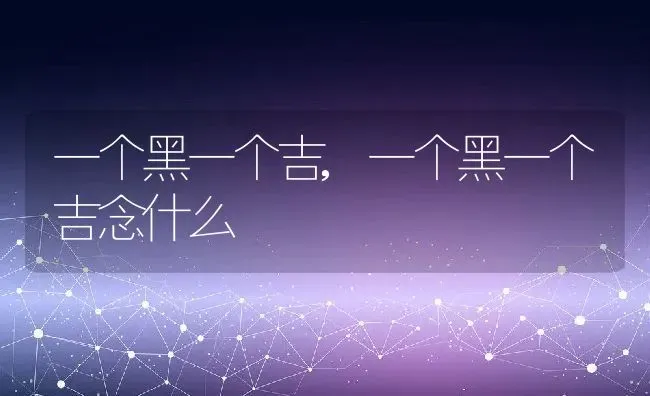 一个黑一个吉,一个黑一个吉念什么 | 宠物百科知识