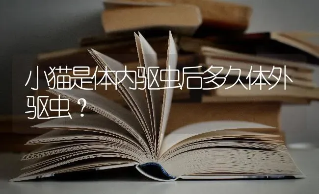 小猫是体内驱虫后多久体外驱虫？ | 动物养殖问答