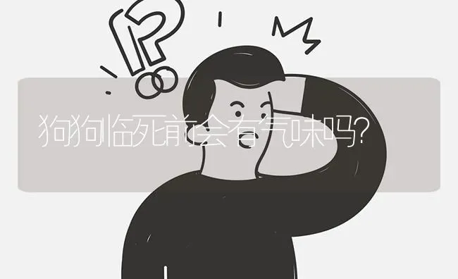 狗狗临死前会有气味吗？ | 动物养殖问答