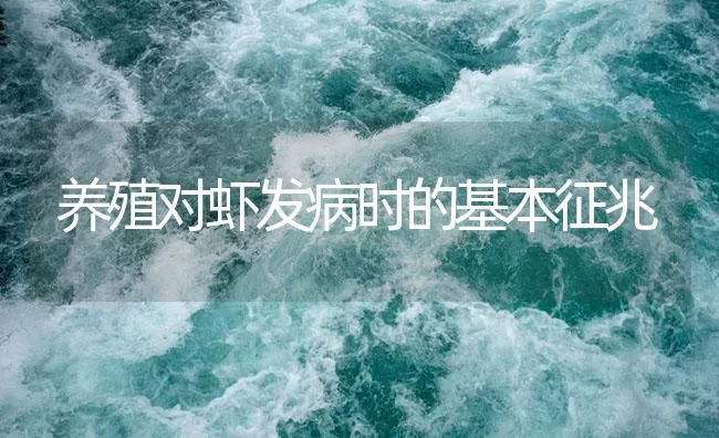 养殖对虾发病时的基本征兆 | 海水养殖技术