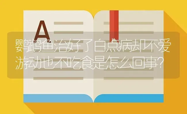 鹦鹉鱼治好了白点病却不爱游动也不吃食是怎么回事？ | 鱼类宠物饲养