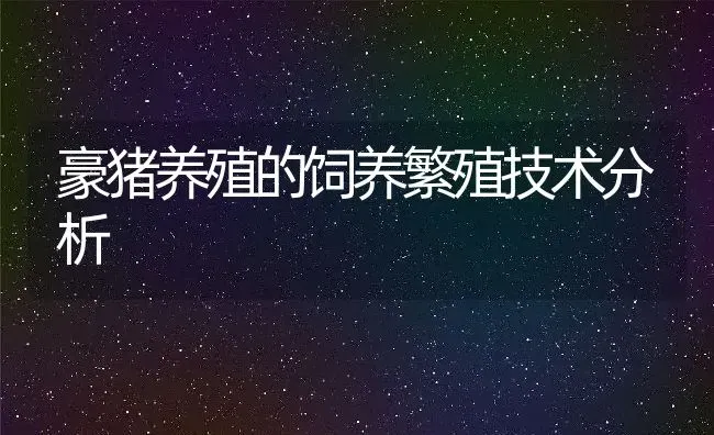 豪猪养殖的饲养繁殖技术分析 | 动物养殖百科