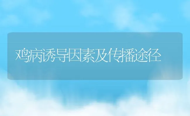 鸡病诱导因素及传播途径 | 动物养殖学堂