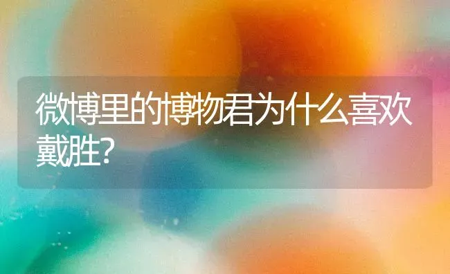 微博里的博物君为什么喜欢戴胜？ | 动物养殖问答