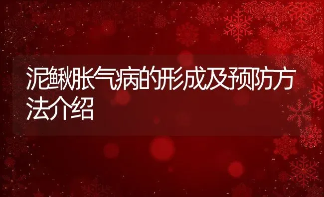 泥鳅胀气病的形成及预防方法介绍 | 动物养殖教程